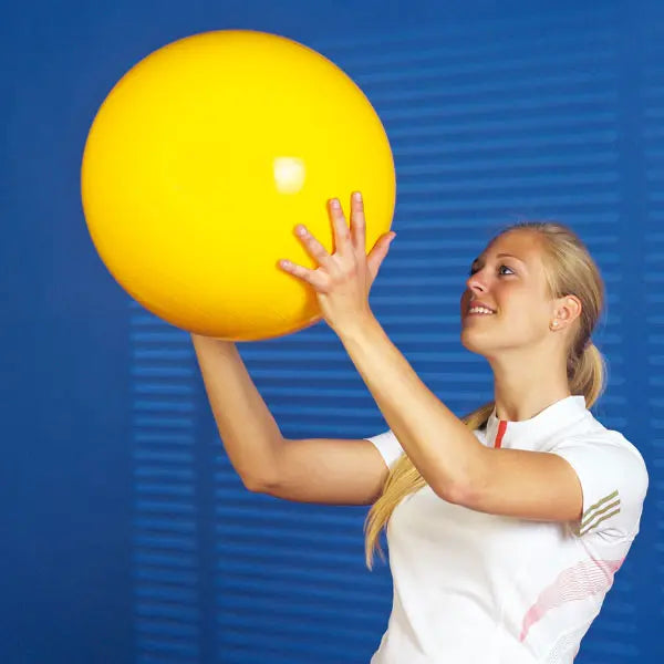 Sit 'n' Gym Sitzball